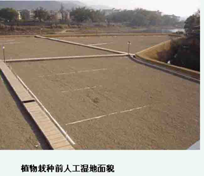 人工濕地